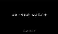三盛·璞悦湾12月推广方案【pdf】