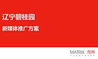 辽宁碧桂园新体推广炒作方案150p【pdf】