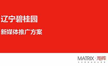 辽宁碧桂园新体推广炒作方案150p【pdf】
