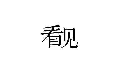 广州看见广告-爱情地产印玥万璟推广执行方案【pdf】
