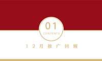 2021江山大名城1-2月推广计划方案【pdf】
