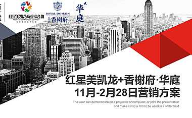 红星美凯龙11月营销推广方案【pdf】