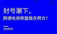 封号潮下，跨境电商转型路在何方？-22页【pdf】