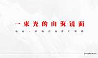 2022博思堂-中南山海壹品营销推广策略方案【pdf】