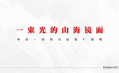 2022博思堂-中南山海壹品营销推广策略方案【pdf】