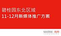沈阳碧桂园11-12月新媒体推广方案【pdf】