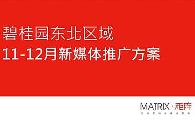 沈阳碧桂园11-12月新媒体推广方案【pdf】