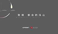 2022浅山叠墅推广方案【pdf】