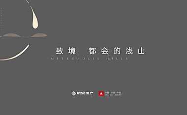 2022浅山叠墅推广方案【pdf】