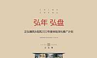 2022豪宅项目年度推广方案【pdf】