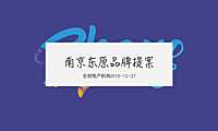 南京东原品牌提案方案【pdf】