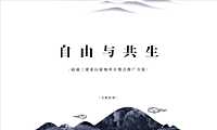逍遥游文旅项目整合推广方案【pdf】