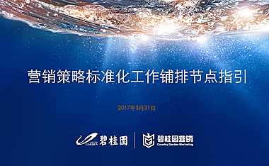 碧桂园标准化营销策略重点工作铺排节点指引方案【pdf】