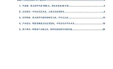 中指院|《2022年全国新开盘总结报告》【pdf】