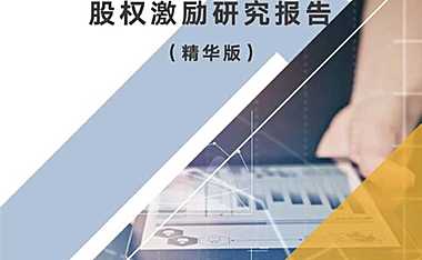 2020年A股上市公司股权激励研究报告（精华版）-中智咨询-2021.10-【pdf】