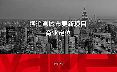 2022万科 成都猛追湾城市更新项目商业定位 2020 29页 大同【pdf】