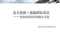 成都北大资源燕楠国际项目招商及营销执行方案【pdf】