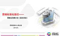 中南置地营销全周期计划（综合项目）2【pdf】