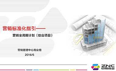 中南置地营销全周期计划（综合项目）2【pdf】