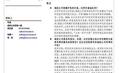 债务结构性特征对城投公司信用风险的影响【pdf】