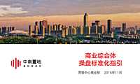 中南置地商业综合体营销标准化指引（细化）【pdf】