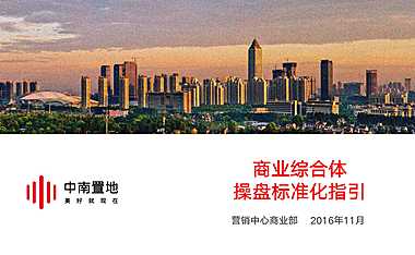 中南置地商业综合体营销标准化指引（细化）【pdf】
