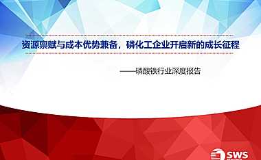 磷酸铁行业深度报告：资源禀赋与成本优势兼备，磷化工企业开启新的成长征程-202107-申万宏源-【pdf】