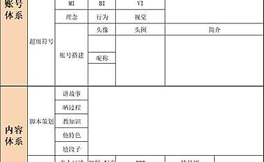 抖音账号运营策划表(空表)【pdf】