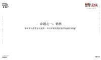 阳光城麓山悦策略提报【pdf】