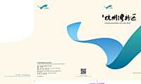 11-宁波杭州湾新区招商手册【pdf】