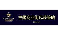 天成名都主题商业街包装策略案 -【pdf】