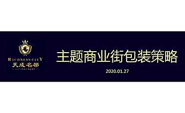 天成名都主题商业街包装策略案 -【pdf】
