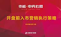 泰诚中央公园开盘前营销执行策略方案【pdf】