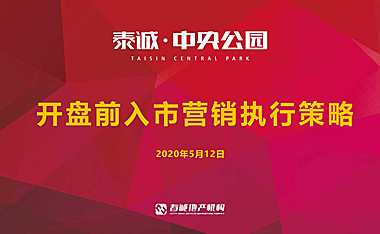 泰诚中央公园开盘前营销执行策略方案【pdf】