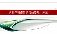 价格策略报告撰写的原理、方法【pdf】