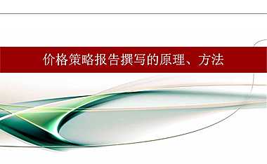 价格策略报告撰写的原理、方法【pdf】