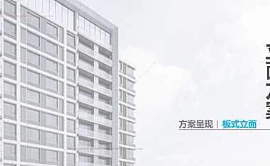 招商蛇口立面标准化汇总（现代典雅高层 洋房）#标准化#【pdf】