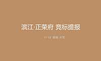 正荣府别墅项目竞标提报方案【pdf】
