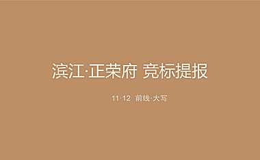 正荣府别墅项目竞标提报方案【pdf】