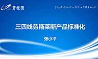 标准化3《三四线劳斯莱斯标准化》输出版【pdf】