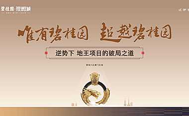 二等奖：唯有碧桂园 超越碧桂园【pdf】