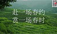 2023地产项目春日4-6月系列暖场（赴一场春约 赏一场春时主题）活动策划方案-38P【pdf】