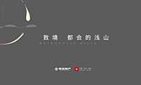 2022荣安浅山叠墅策略提报-177P【pdf】