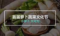 2022年首届萝卜蔬菜文化节【pdf】