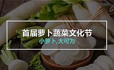 2022年首届萝卜蔬菜文化节【pdf】