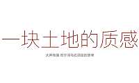 2022河马石项目竞标方案s【pdf】