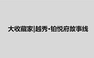 2022越秀铂悦府顶级故事线方案-132P【pdf】