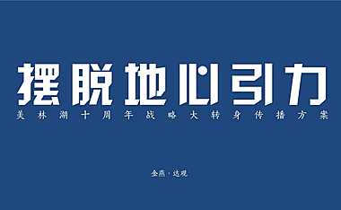 美林湖十周年战略大转身传播方案-135P-广州4A金燕达观【pdf】