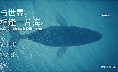 完整253页 深圳心生万物-2022雅居乐·海上明珠推广案【pdf】