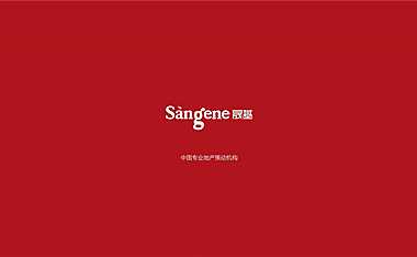 云世界项目推广策略提报方案【pdf】